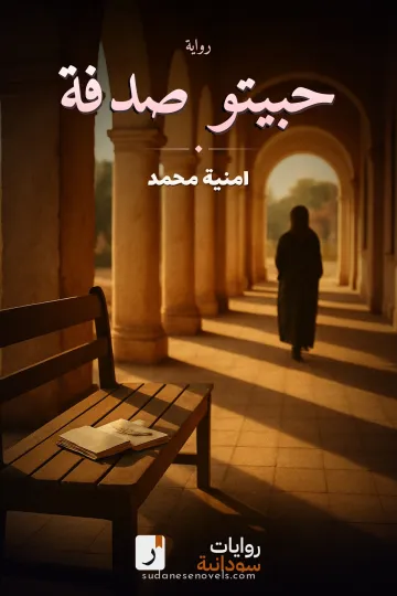 غلاف رواية حبيتو صدفة — امنية محمد